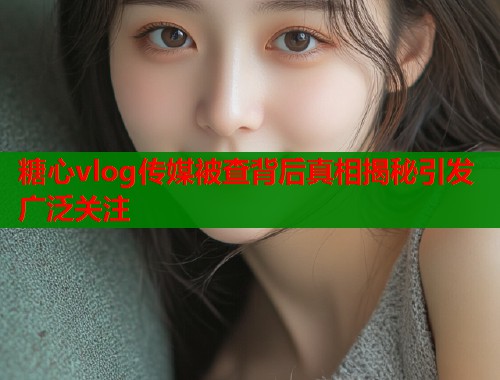 糖心vlog传媒被查背后真相揭秘引发广泛关注